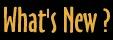 Page Title: What's New?